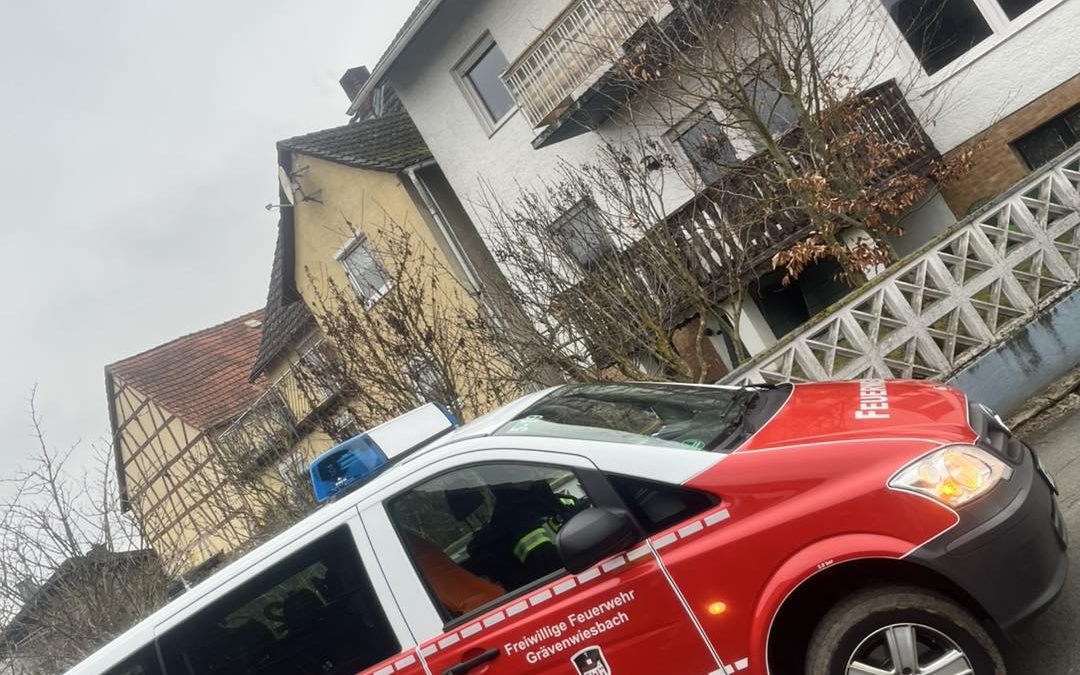 Bilder vom Meester Faschingsumzug gestern….