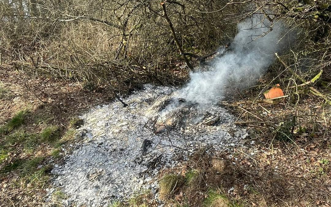 +++ E I N S A T Z B E R I C H T +++…